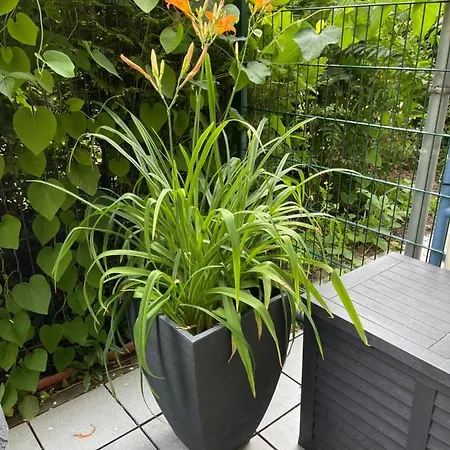 Sonnige Im Zentrum Mit Terrasse U Tiefgarage - Netflix & Prime Apartmán *