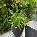 Sonnige Im Zentrum Mit Terrasse U Tiefgarage - Netflix & Prime Lägenhet *