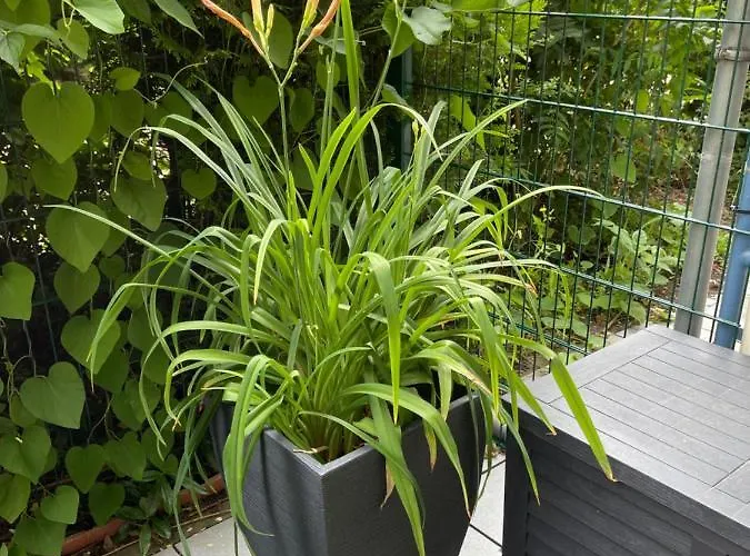 Sonnige Im Zentrum Mit Terrasse U Tiefgarage - Netflix & Prime Appartamento *